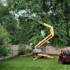 Best Tree Health Inspection  in Mmaduke, AR