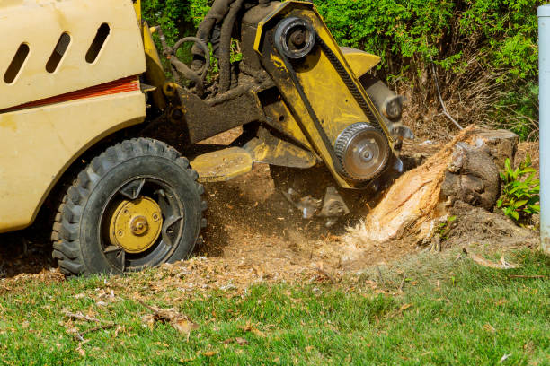 Lawn Grading and Leveling in Marmaduke, AR